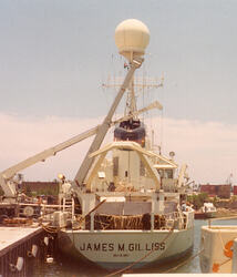 Gillis (2)