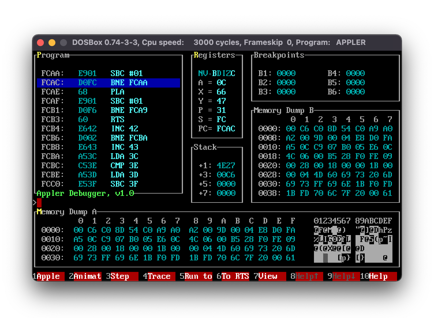 apple2 6502 emulator text-based